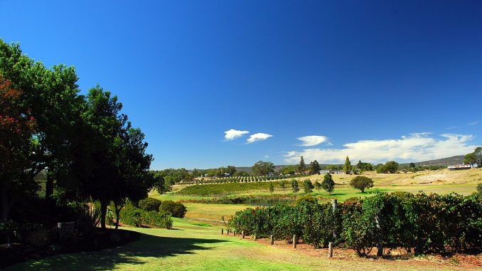 Swan Valley