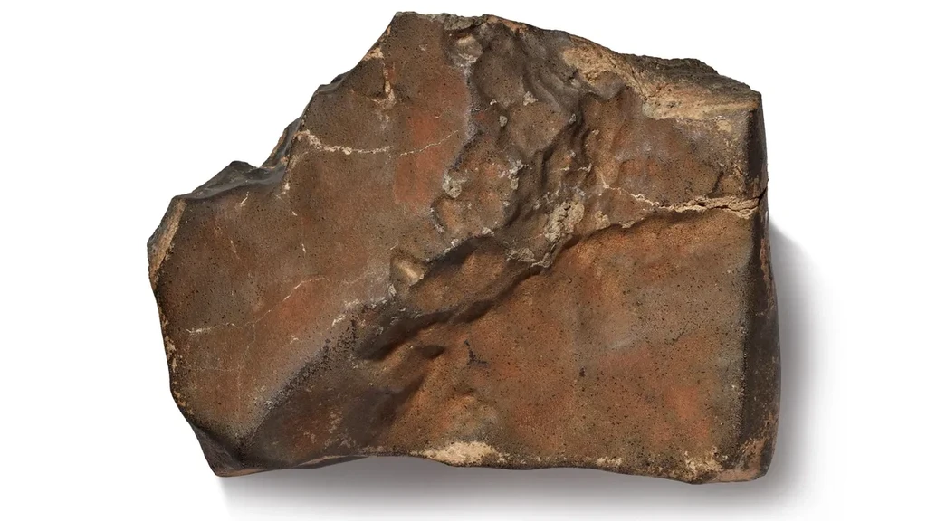 Meteorit Mars Super Langka Bakal Dilelang, Berapa Harganya?