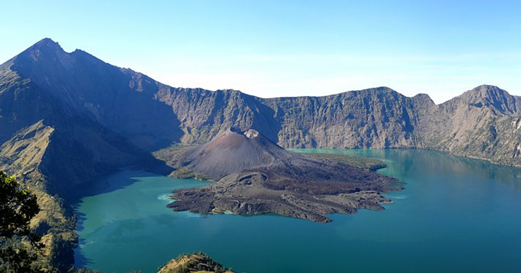 BRIN Temukan Spesies Jamur Morel Baru dari Gunung Rinjani