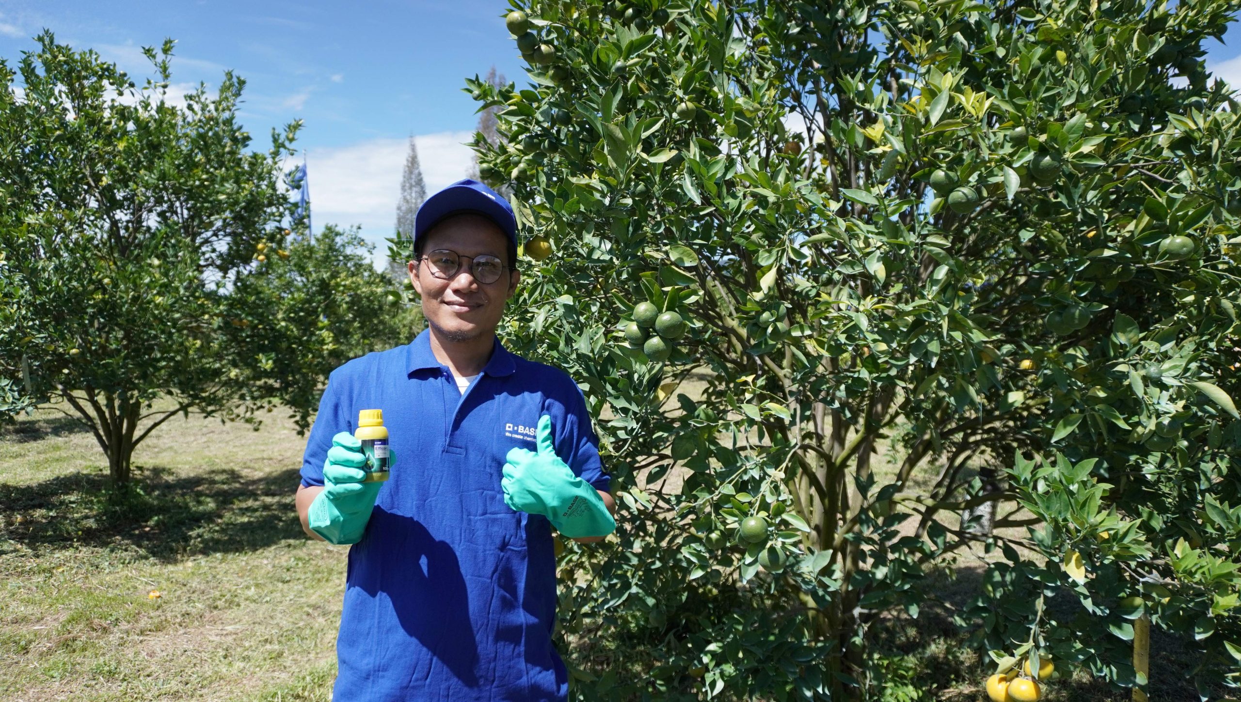 BASF Luncurkan Efficon di Indonesia, Inovasi Perlindungan Buah dan Sayuran yang Lebih Berkelanjutan