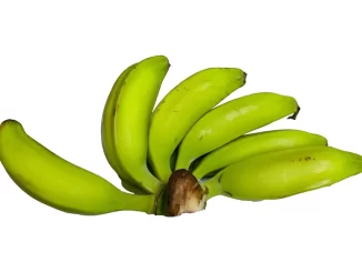 Pisang hijau