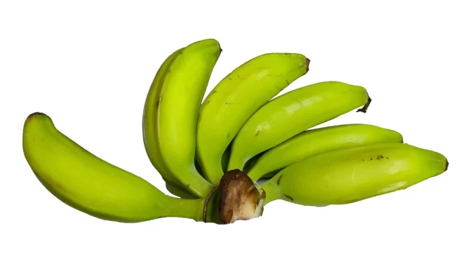 Pisang hijau