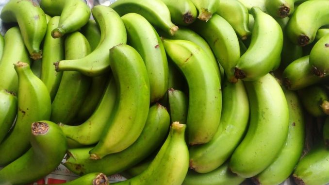 Pisang hijau