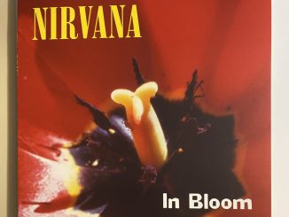 Nirvana - In Bloom