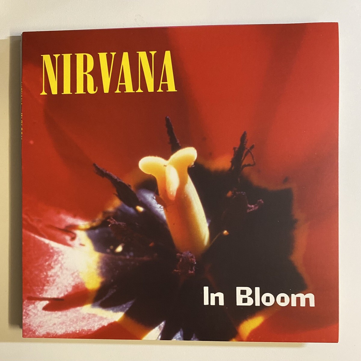 Song of the Day: Nirvana – In Bloom