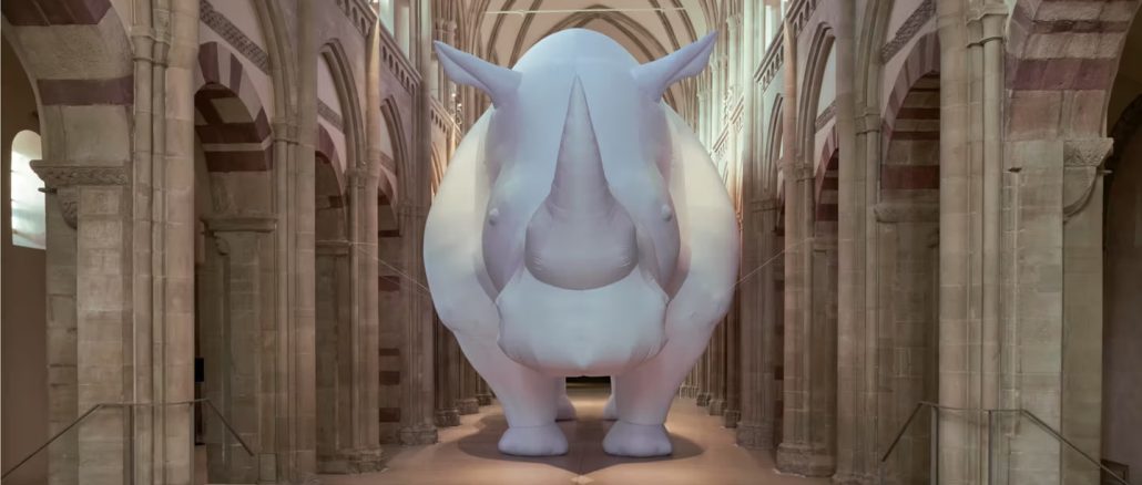 The Rhinoceros in the Room