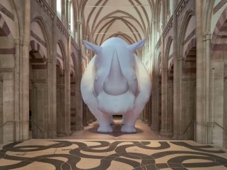 The Rhinoceros in the Room