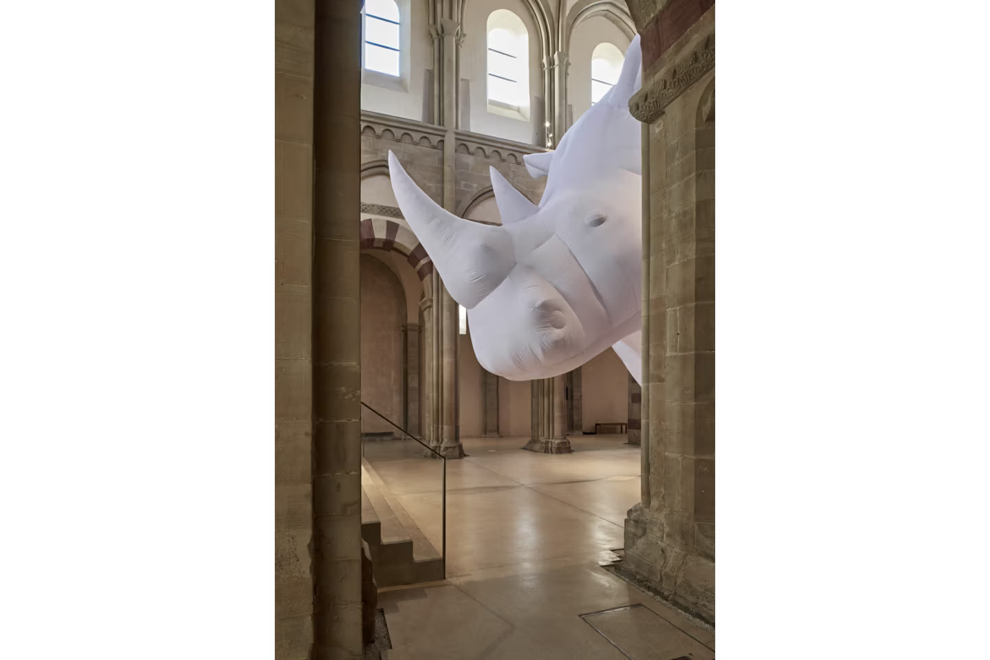 The Rhinoceros in the Room