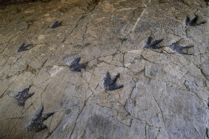 Misteri Penemuan Jejak Dinosaurus Prancis di Langit-Langit Gua Castelbouc
