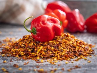 manfaat makanan pedas