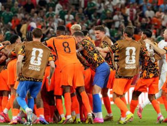 rafael van der vaart kritik belanda