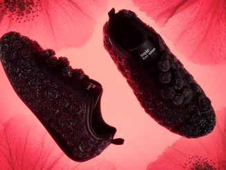 noir kei ninomiya