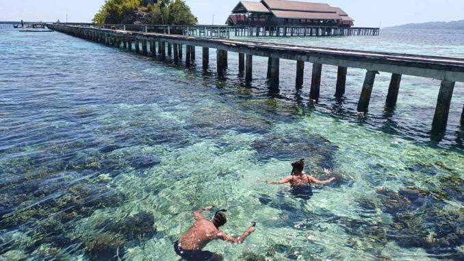 pulau papan togean