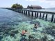 pulau papan togean