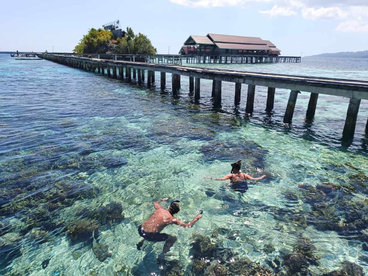 Pesona Wisata Pulau Papan Togean: Surga Bawah Laut dan Kebudayaan Suku Bajo