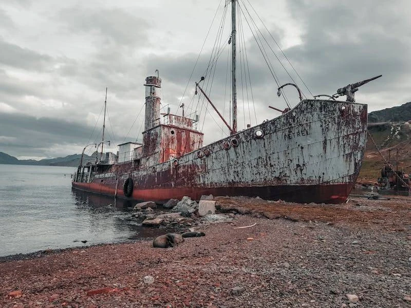 Mengenang Tragedi Kapal Sewol: Pelajaran Berharga dari Kelalaian dan Hilangnya Ratusan Nyawa