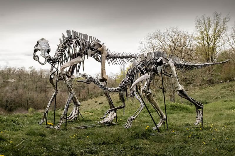 Lelang Fosil Dinosaurus Langka Hank dan Koda di Joopiter, Tembus Miliaran Rupiah