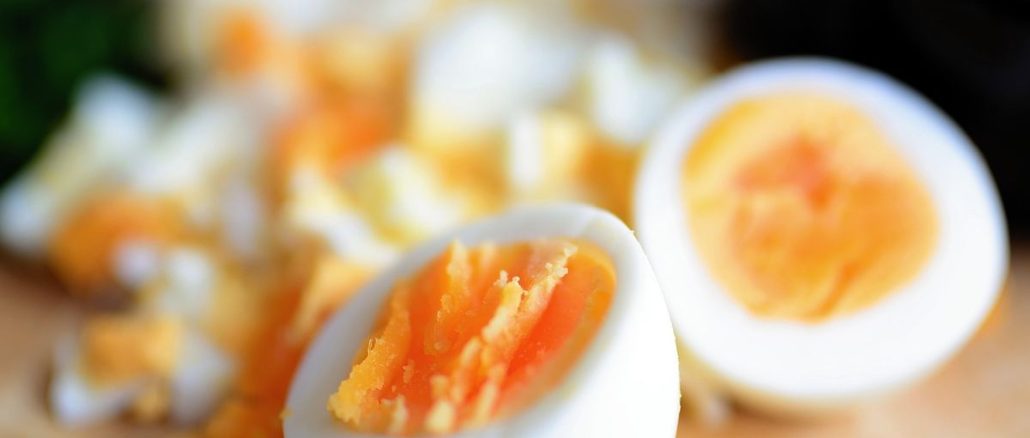 putih telur