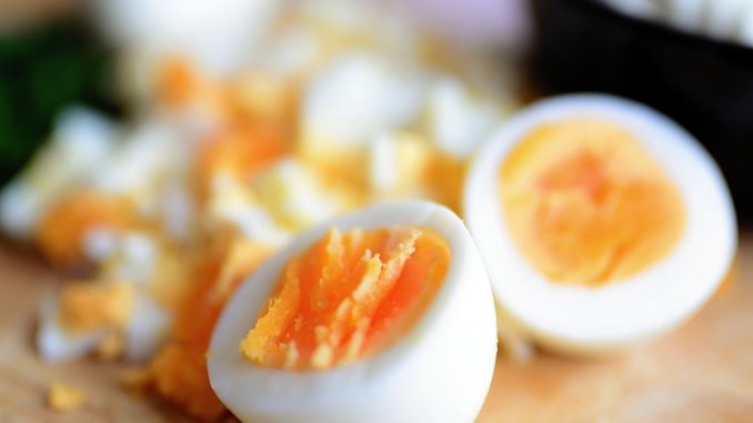 putih telur