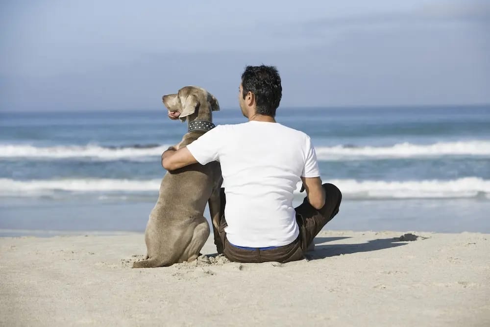 Jejak Kaki Purba Ungkap Persahabatan Manusia dan Anjing Sejak 14.400 Tahun Lalu
