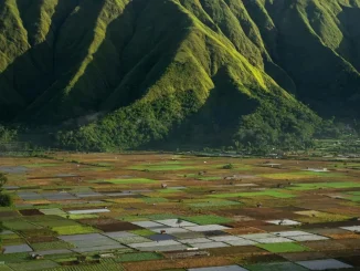 melihat sunrise di lombok